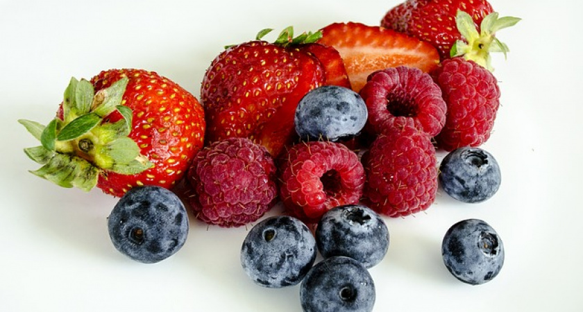 Липецкая «Фрагария» запустила свою фабрику по производству замороженных ягод за 600 млн рублей